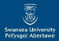 Swansea Case Study